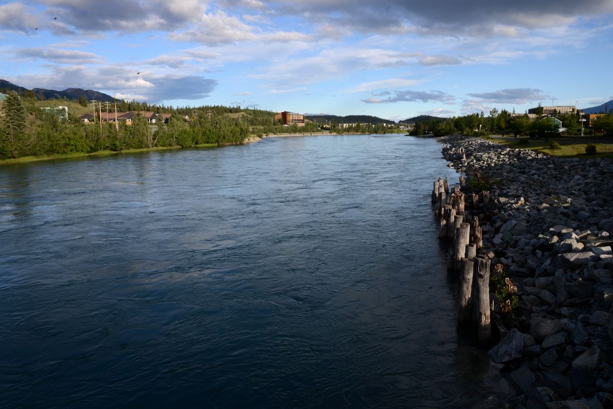 05A The Yukon River Flows Past Whitehorse Yukon